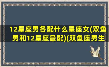 12星座男各配什么星座女(双鱼男和12星座最配)(双鱼座男生和12星座女生性格比较搭)