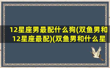 12星座男最配什么狗(双鱼男和12星座最配)(双鱼男和什么星座最适合)