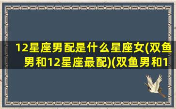 12星座男配是什么星座女(双鱼男和12星座最配)(双鱼男和12星座女般配排行榜)