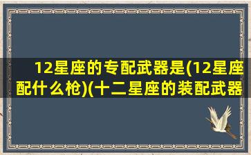 12星座的专配武器是(12星座配什么枪)(十二星座的装配武器)