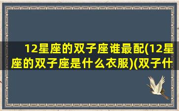 12星座的双子座谁最配(12星座的双子座是什么衣服)(双子什么星座最配对)