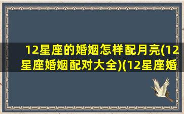 12星座的婚姻怎样配月亮(12星座婚姻配对大全)(12星座婚配表有依据)