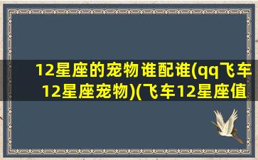 12星座的宠物谁配谁(qq飞车12星座宠物)(飞车12星座值得氪的套装)