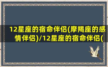 12星座的宿命伴侣(摩羯座的感情伴侣)/12星座的宿命伴侣(摩羯座的感情伴侣)-我的网站