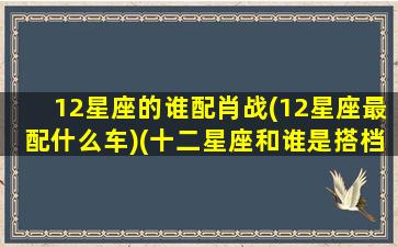 12星座的谁配肖战(12星座最配什么车)(十二星座和谁是搭档)