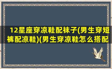 12星座穿凉鞋配袜子(男生穿短裤配凉鞋)(男生穿凉鞋怎么搭配)