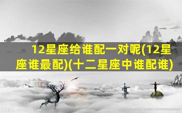 12星座给谁配一对呢(12星座谁最配)(十二星座中谁配谁)