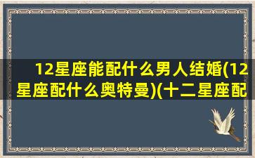 12星座能配什么男人结婚(12星座配什么奥特曼)(十二星座配哪个男明星)