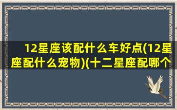 12星座该配什么车好点(12星座配什么宠物)(十二星座配哪个小宠物图片)