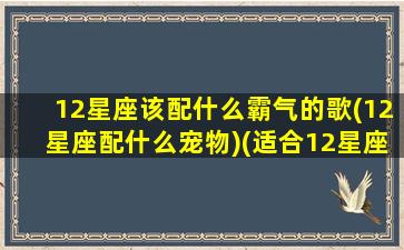 12星座该配什么霸气的歌(12星座配什么宠物)(适合12星座的专属歌曲)