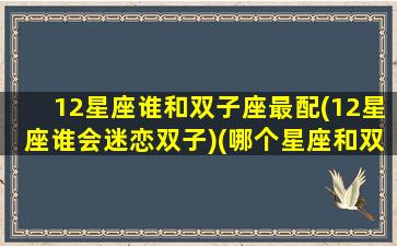 12星座谁和双子座最配(12星座谁会迷恋双子)(哪个星座和双子最配)