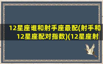 12星座谁和射手座最配(射手和12星座配对指数)(12星座射手座和什么星座最配)