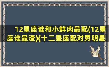 12星座谁和小鲜肉最配(12星座谁最渣)(十二星座配对男明星)