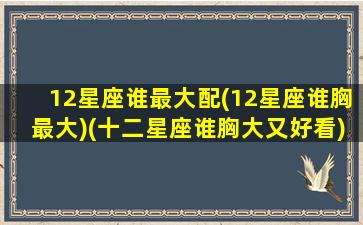 12星座谁最大配(12星座谁胸最大)(十二星座谁胸大又好看)