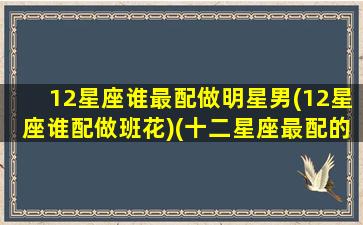 12星座谁最配做明星男(12星座谁配做班花)(十二星座最配的男明星)