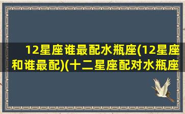 12星座谁最配水瓶座(12星座和谁最配)(十二星座配对水瓶座)