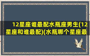 12星座谁最配水瓶座男生(12星座和谁最配)(水瓶哪个星座最配对)