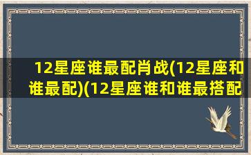 12星座谁最配肖战(12星座和谁最配)(12星座谁和谁最搭配)