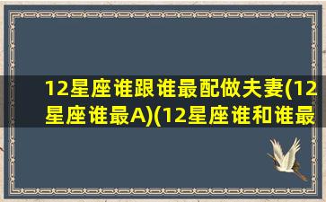 12星座谁跟谁最配做夫妻(12星座谁最A)(12星座谁和谁最配)