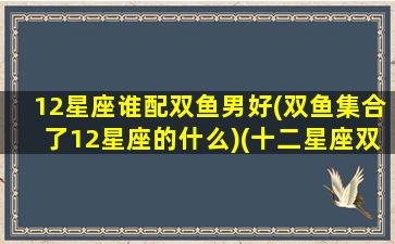 12星座谁配双鱼男好(双鱼集合了12星座的什么)(十二星座双鱼座男配谁)