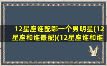 12星座谁配哪一个男明星(12星座和谁最配)(12星座谁和谁最般配)