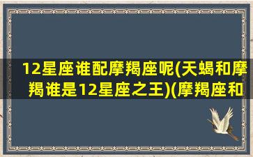 12星座谁配摩羯座呢(天蝎和摩羯谁是12星座之王)(摩羯座和什么星座是天生一对)