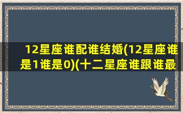 12星座谁配谁结婚(12星座谁是1谁是0)(十二星座谁跟谁最配当夫妻)