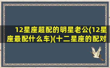 12星座超配的明星老公(12星座最配什么车)(十二星座的配对明星)