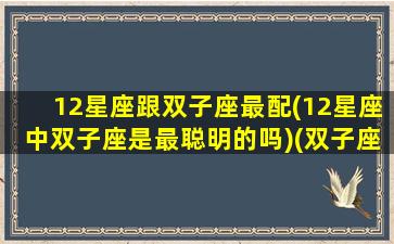 12星座跟双子座最配(12星座中双子座是最聪明的吗)(双子座和十二星座谁最搭配)