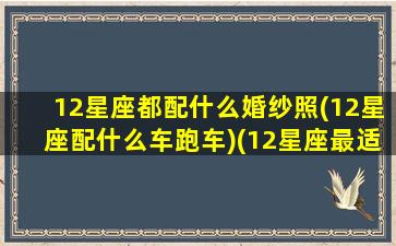 12星座都配什么婚纱照(12星座配什么车跑车)(12星座最适合的婚纱裙,图片)