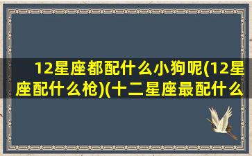 12星座都配什么小狗呢(12星座配什么枪)(十二星座最配什么狗狗)