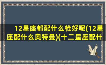 12星座都配什么枪好呢(12星座配什么奥特曼)(十二星座配什么样的男生)