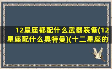 12星座都配什么武器装备(12星座配什么奥特曼)(十二星座的专属配剑)