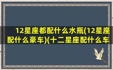 12星座都配什么水瓶(12星座配什么豪车)(十二星座配什么车最好)