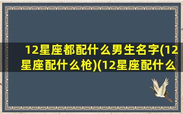 12星座都配什么男生名字(12星座配什么枪)(12星座配什么动物)