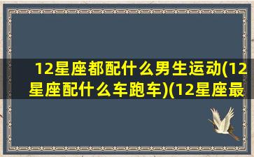 12星座都配什么男生运动(12星座配什么车跑车)(12星座最配什么跑车)