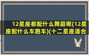 12星座都配什么舞蹈呢(12星座配什么车跑车)(十二星座适合跳什么舞视频)