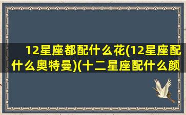 12星座都配什么花(12星座配什么奥特曼)(十二星座配什么颜色好看)