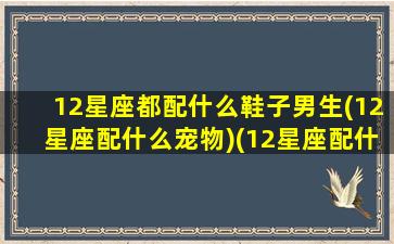 12星座都配什么鞋子男生(12星座配什么宠物)(12星座配什么动物)