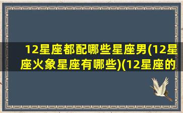 12星座都配哪些星座男(12星座火象星座有哪些)(12星座的搭配对象)