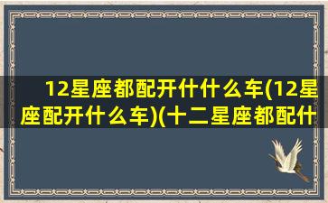 12星座都配开什什么车(12星座配开什么车)(十二星座都配什么车)