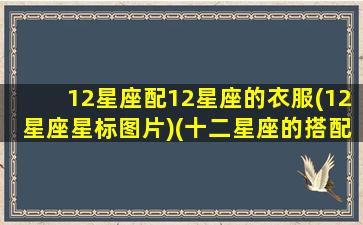 12星座配12星座的衣服(12星座星标图片)(十二星座的搭配表)