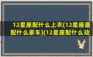 12星座配什么上衣(12星座最配什么豪车)(12星座配什么动物)