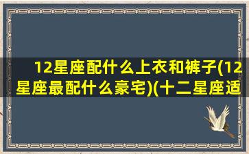 12星座配什么上衣和裤子(12星座最配什么豪宅)(十二星座适合的穿搭)