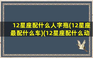 12星座配什么人字拖(12星座最配什么车)(12星座配什么动物)