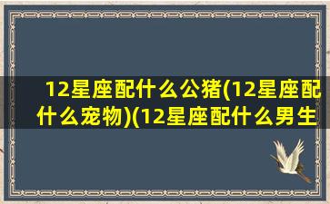 12星座配什么公猪(12星座配什么宠物)(12星座配什么男生)