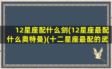 12星座配什么剑(12星座最配什么奥特曼)(十二星座最配的武器)