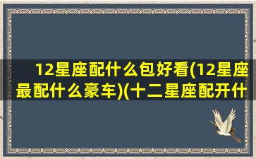 12星座配什么包好看(12星座最配什么豪车)(十二星座配开什么车)