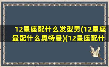 12星座配什么发型男(12星座最配什么奥特曼)(12星座配什么明星男友合适)