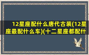 12星座配什么唐代古装(12星座最配什么车)(十二星座都配什么车)